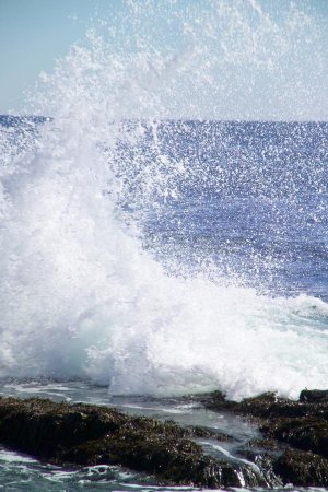 Wave Crashing on Rocks...